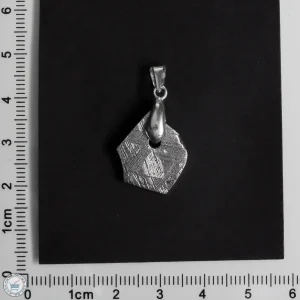 Muonionalusta Meteorite Jewelry Pendant 5.0g