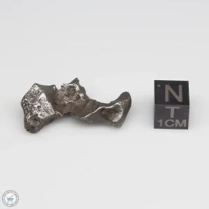 Sikhote-Alin Meteorite 8.0g