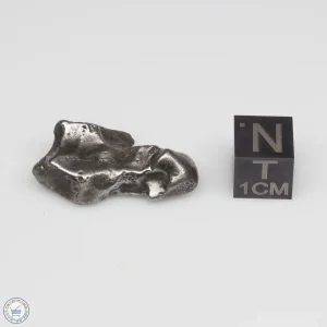 Sikhote-Alin Meteorite 10.4g