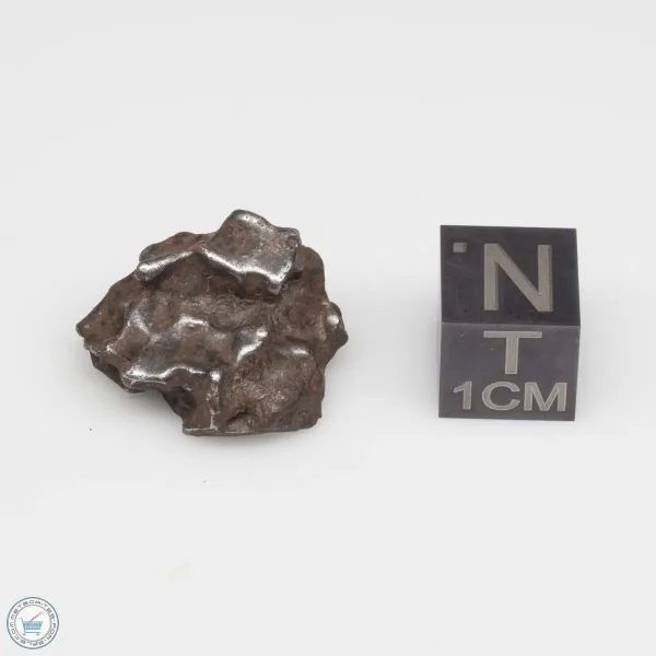 Sikhote-Alin Meteorite 8.1g