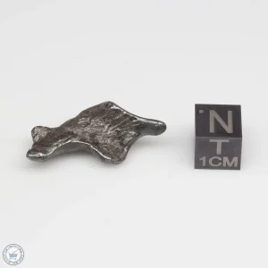 Sikhote-Alin Meteorite 8.2g