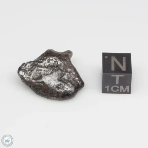 Sikhote-Alin Meteorite 11.6g