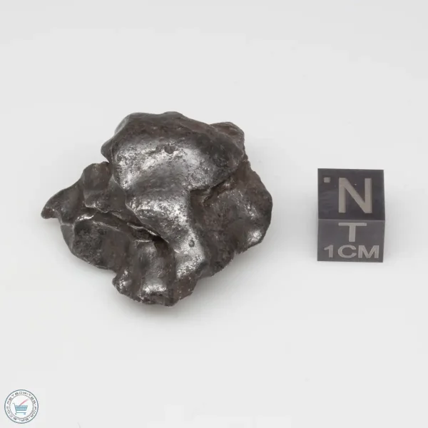 Sikhote-Alin Meteorite 43.5g