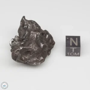 Sikhote-Alin Meteorite 43.5g