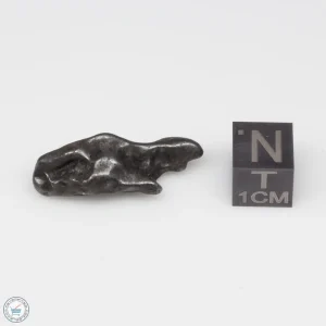 Sikhote-Alin Meteorite 7.0g