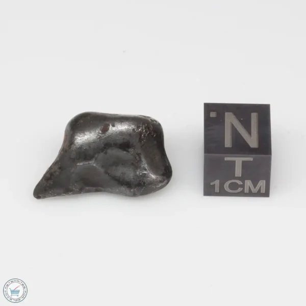 Sikhote-Alin Meteorite 9.1g