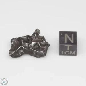 Sikhote-Alin Meteorite 8.4g