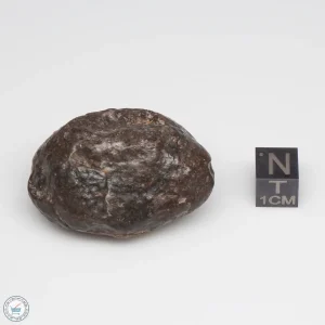 UNWA Meteorite Stone 55.0g