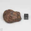 UNWA Meteorite Stone 67.0g