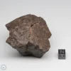 UNWA Meteorite Stone 295.9g