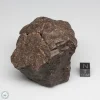 UNWA Meteorite Stone 295.9g