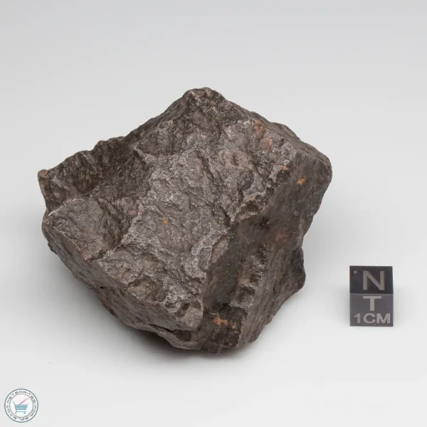 UNWA Meteorite Stone 295.9g