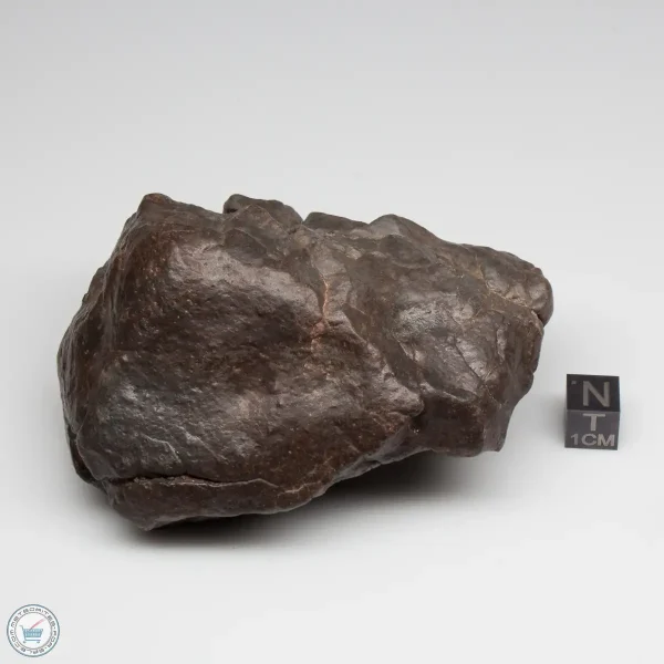 UNWA Meteorite Stone 498g