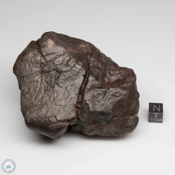 UNWA Meteorite Stone 498g