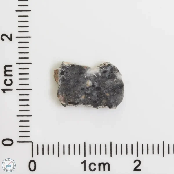 Bechar 003 Lunar Meteorite 0.38g