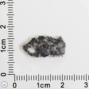 Bechar 003 Lunar Meteorite 0.51g