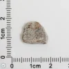 Bechar 003 Lunar Meteorite 0.44g