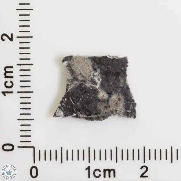 Bechar 003 Lunar Meteorite 0.46g