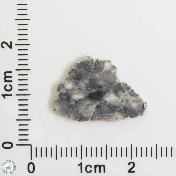 Bechar 003 Lunar Meteorite 0.46g