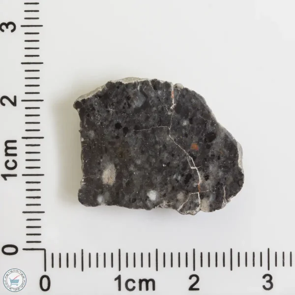 Bechar 003 Lunar Meteorite 3.03g