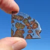 Imilac Pallasite Meteorite 10.2g