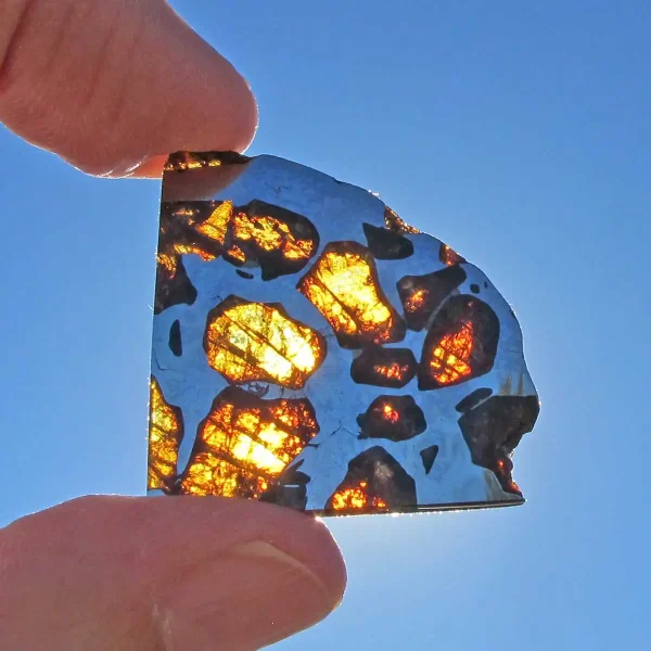 Imilac Pallasite Meteorite 10.2g