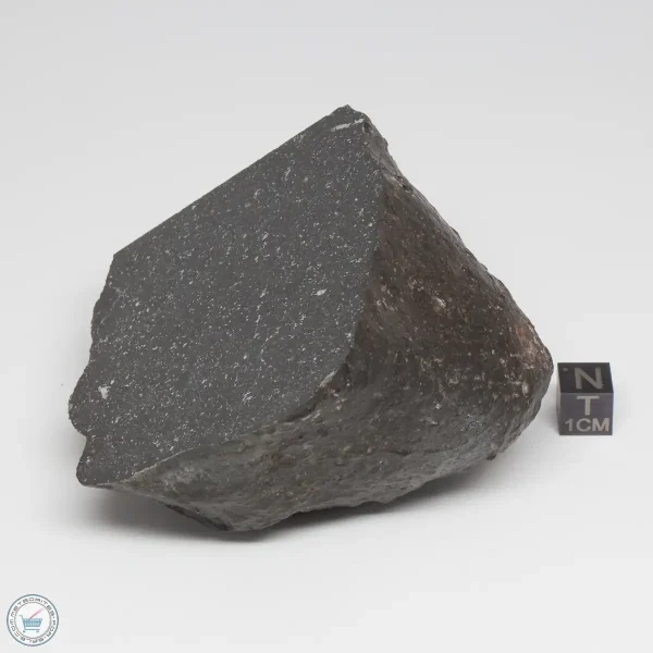 UNWA Meteorite End Piece (2 Cut Faces) 594g