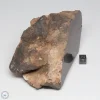 UNWA Meteorite End Piece 1086g