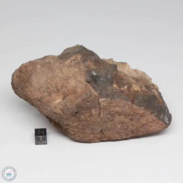 UNWA Meteorite End Piece 1086g