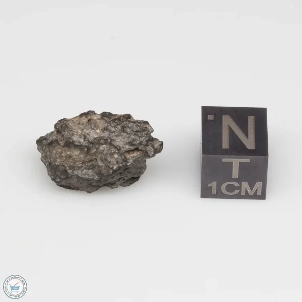 NWA 11228 Lunar Meteorite Fragment 2.84g