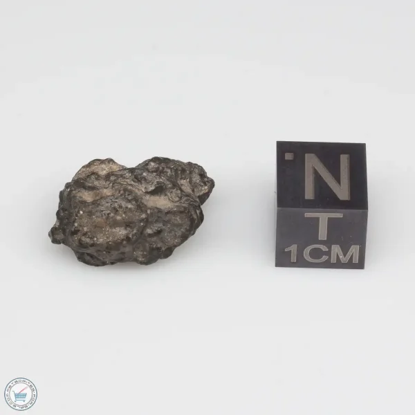 NWA 11228 Lunar Meteorite Fragment 2.84g