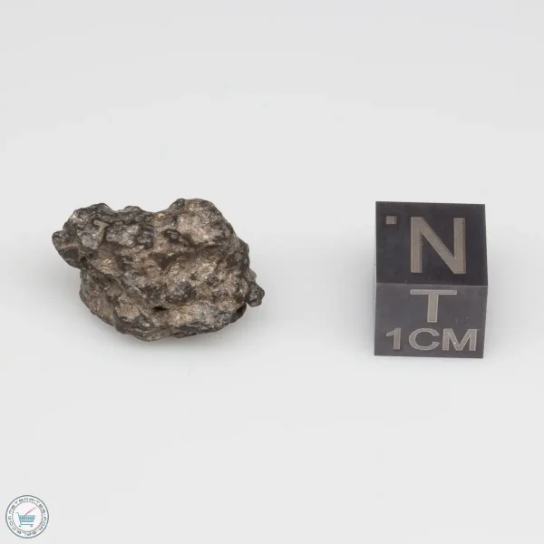 NWA 11228 Lunar Meteorite Fragment 2.84g