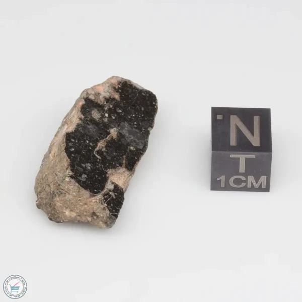 NWA 11228 Lunar Meteorite Fragment Windowed Face 7.55g