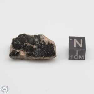 NWA 11228 Lunar Meteorite Fragment Windowed Face 7.55g