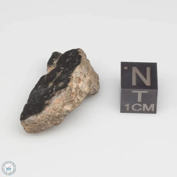 NWA 11228 Lunar Meteorite Fragment Windowed Face 7.55g