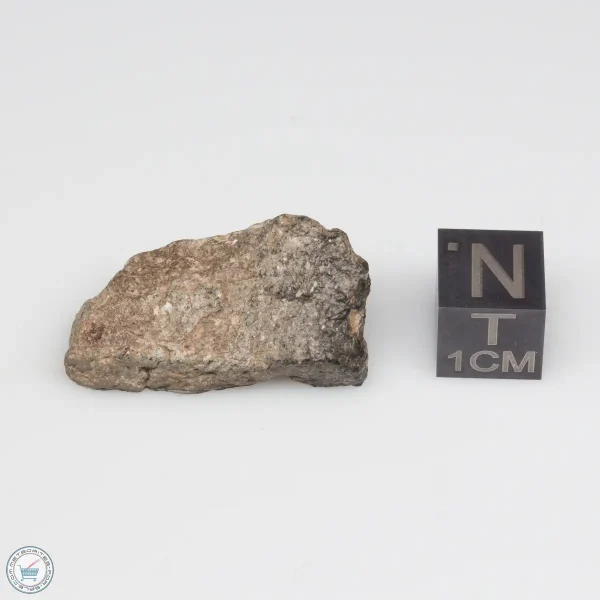 NWA 11228 Lunar Meteorite Fragment Windowed Face 7.55g