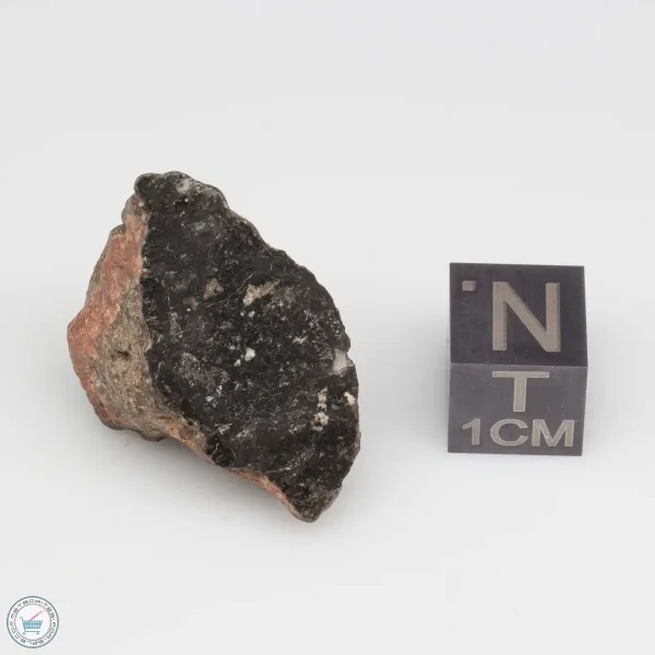 NWA 11228 Lunar Meteorite Fragment Windowed Face 8.44g