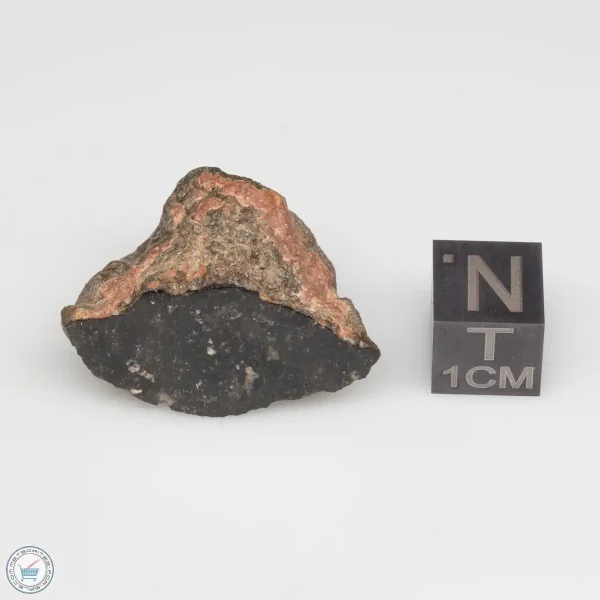 NWA 11228 Lunar Meteorite Fragment Windowed Face 8.44g