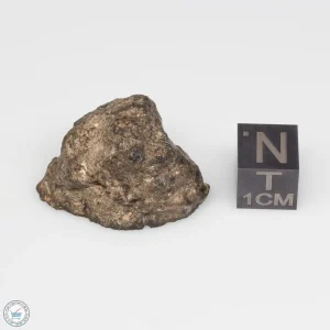 NWA 11228 Lunar Meteorite Fragment Windowed Face 8.44g