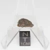 NWA 14353 CVred3 Meteorite 0.6g