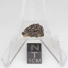 NWA 14353 CVred3 Meteorite 0.6g