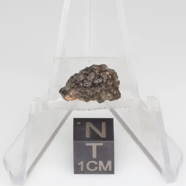 NWA 14353 CVred3 Meteorite 0.6g