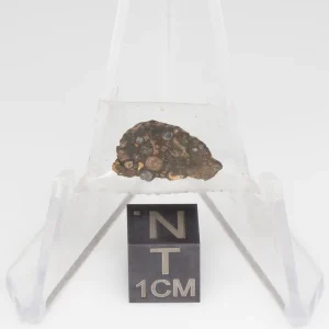 NWA 14353 CVred3 Meteorite 0.6g