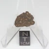 NWA 14353 CVred3 Meteorite 1.1g