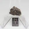 NWA 14353 CVred3 Meteorite 1.1g