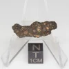 NWA 14353 CVred3 Meteorite 1.1g