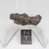 NWA 14353 CVred3 Meteorite 1.1g