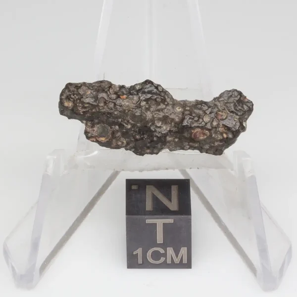 NWA 14353 CVred3 Meteorite 1.1g