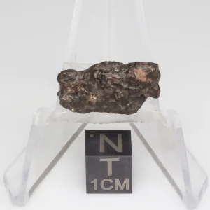 NWA 14353 CVred3 Meteorite 1.2g