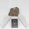 NWA 14353 CVred3 Meteorite 1.5g